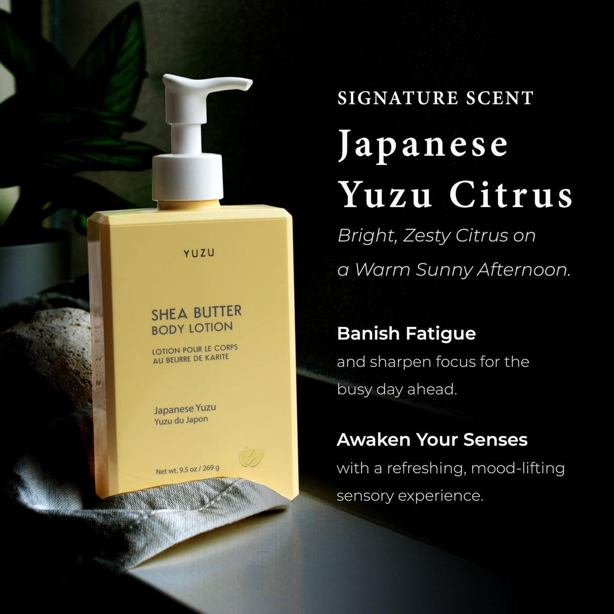 YUZU ingredient oils display with coconut olive sunflower highlighting nourishing plant-based benefits