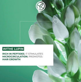 Yves Rocher applied to wet hair demonstrating easier combing benefit