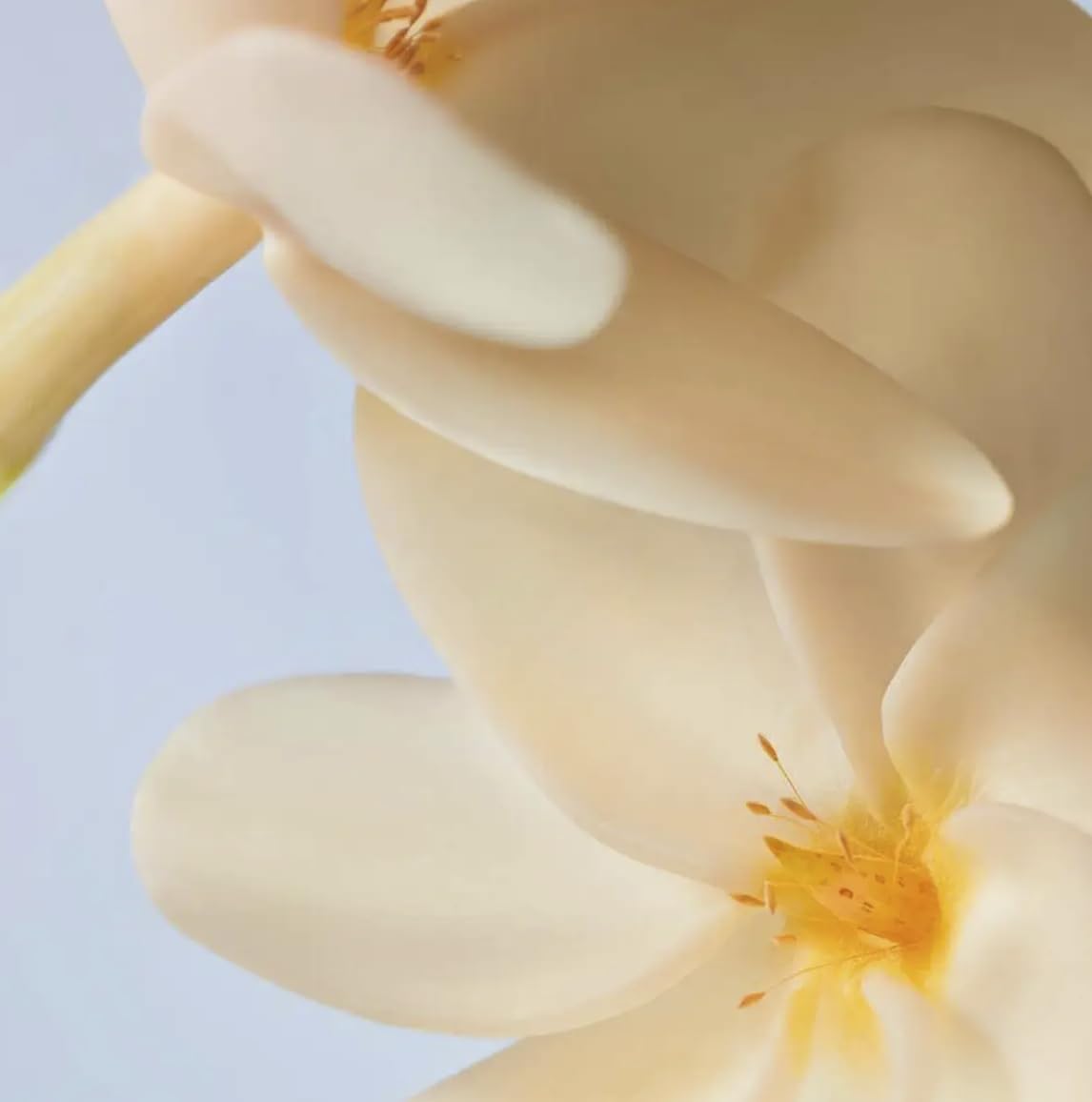 Yves Rocher oil on beach scene evoking tropical scent and summertime glow