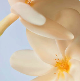Yves Rocher oil on beach scene evoking tropical scent and summertime glow