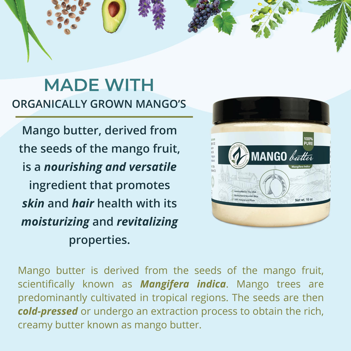 Application of Zatural mango butter on hands demonstrating quick melting and hydration benefit