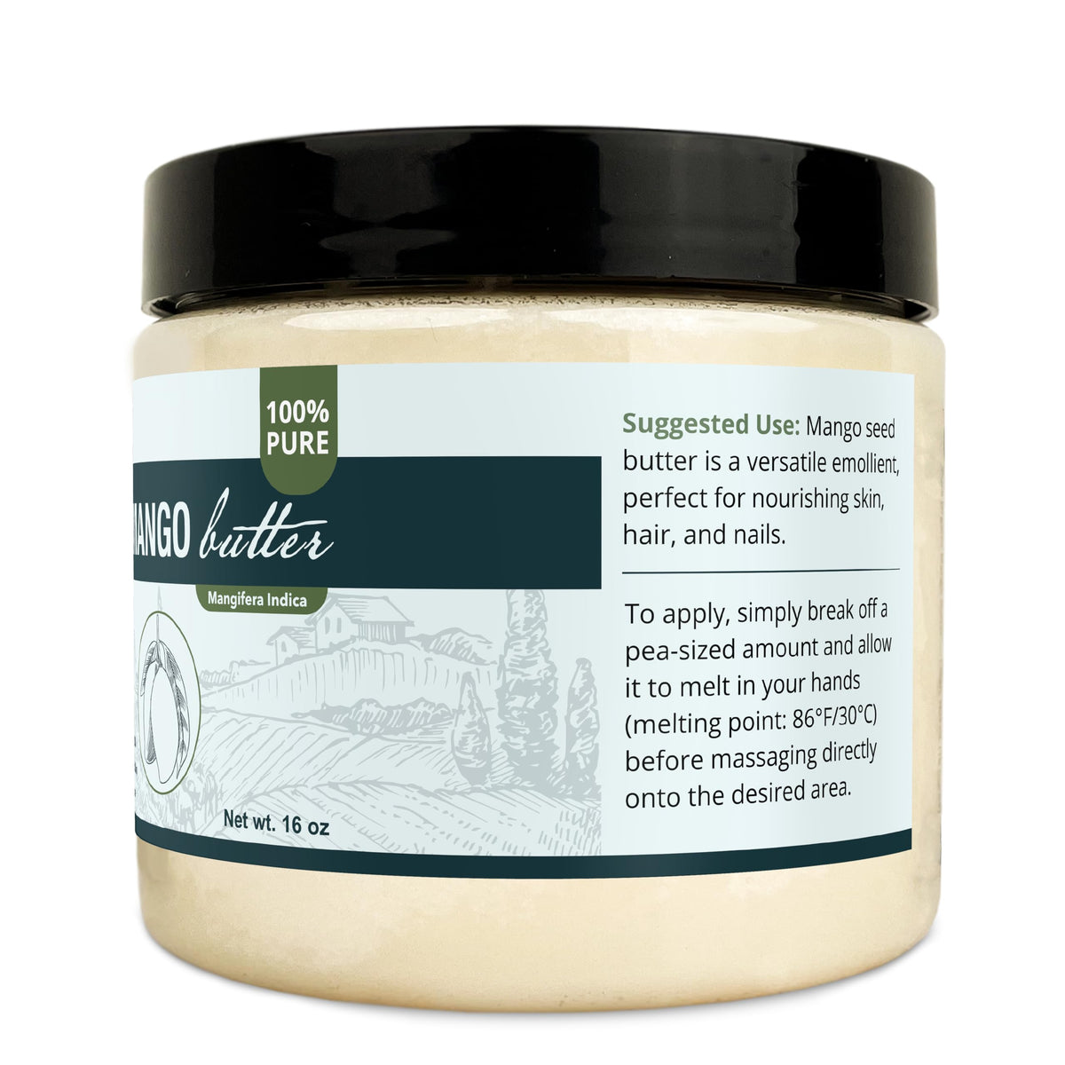 Zatural mango butter applied on elbow illustrating concentrated conditioning for rough patches