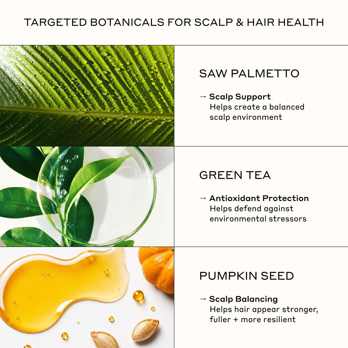 Zenagen before and after comparison showing improved hair volume and appearance