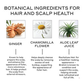 Zenagen label closeup highlighting ingredients and benefits for informed shoppers