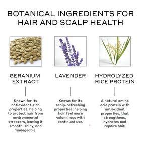 Zenagen foam dispensed in hand illustrating easy application benefit