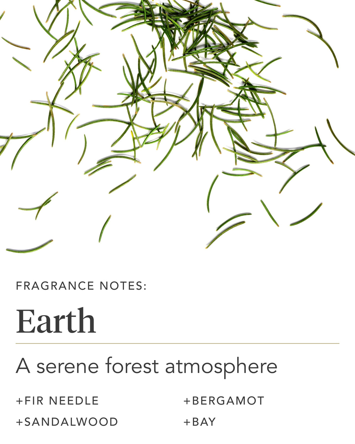 Zents Earth applied to hands showing rapid absorption and softness