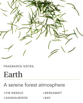 Zents Earth applied to hands showing rapid absorption and softness
