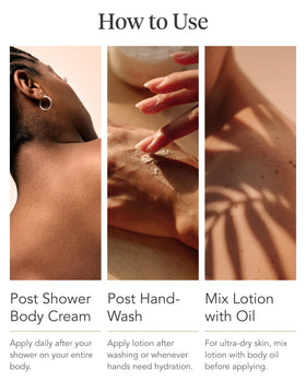 Zents ingredients display with shea butter and hyaluronic for nourishment