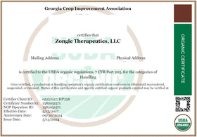 Zongle Therapeutics gentle scalp application demonstrating scalp refresh benefit