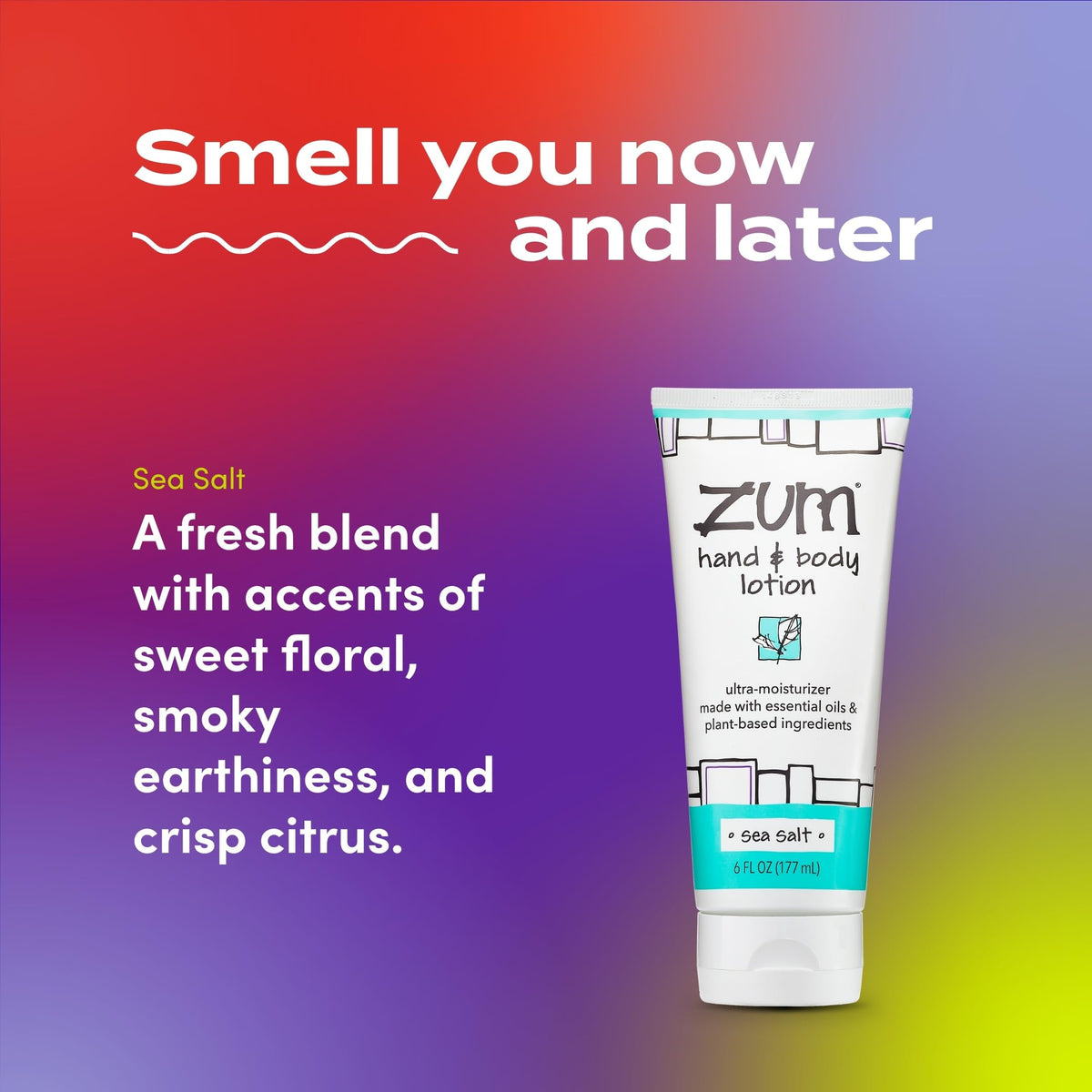 Zum ingredients focus shea butter highlighting nourishing hydration